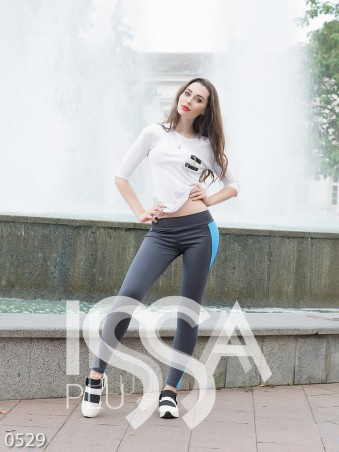 ISSA PLUS: Спортивные штаны 529_серый/голубой - фото 1