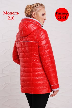 Welly: Женская демисезонная куртка - 210 210 - фото 10
