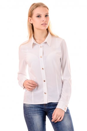 Irvik Trend: Блуза APT40 - фото 1