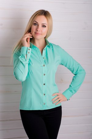 Irvik Trend: Блуза APT205 - фото 1