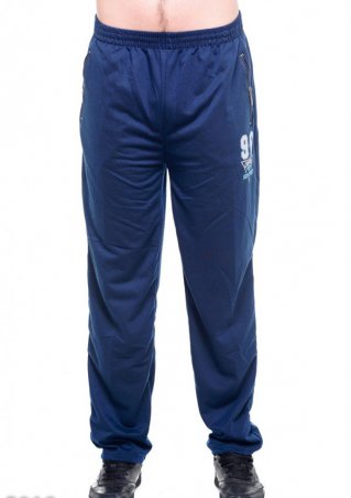 ISSA PLUS: Спортивные штаны 5018_синий - фото 1