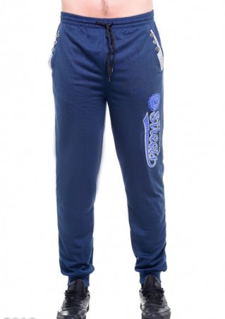 ISSA PLUS: Спортивные штаны 5019_синий - фото 1