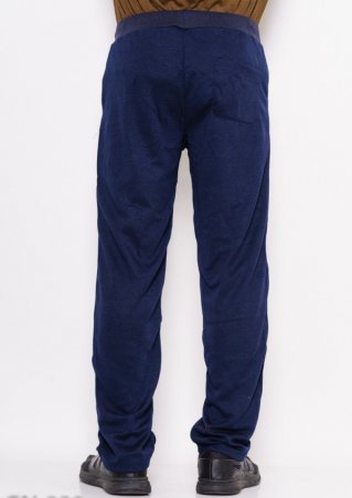 ISSA PLUS: Спортивные штаны GN-333_темно-синий - фото 3