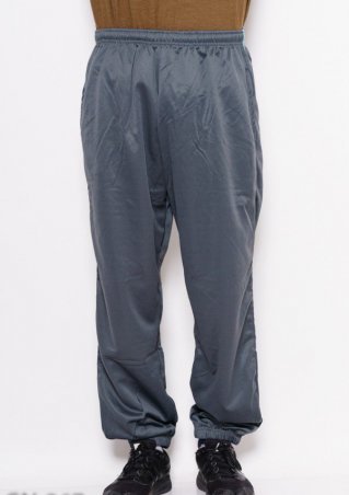 ISSA PLUS: Спортивные штаны GN-267_серый - фото 1
