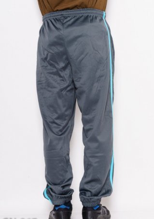ISSA PLUS: Спортивные штаны GN-267_серый - фото 3