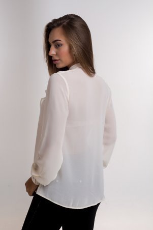 K&ML: Стильная женская блуза из шифона 484.1 - фото 4