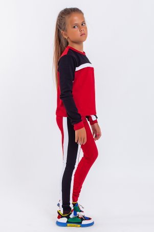 Modna Anka: Спортивный костюм для девочек 111169 красный 111169 - фото 3