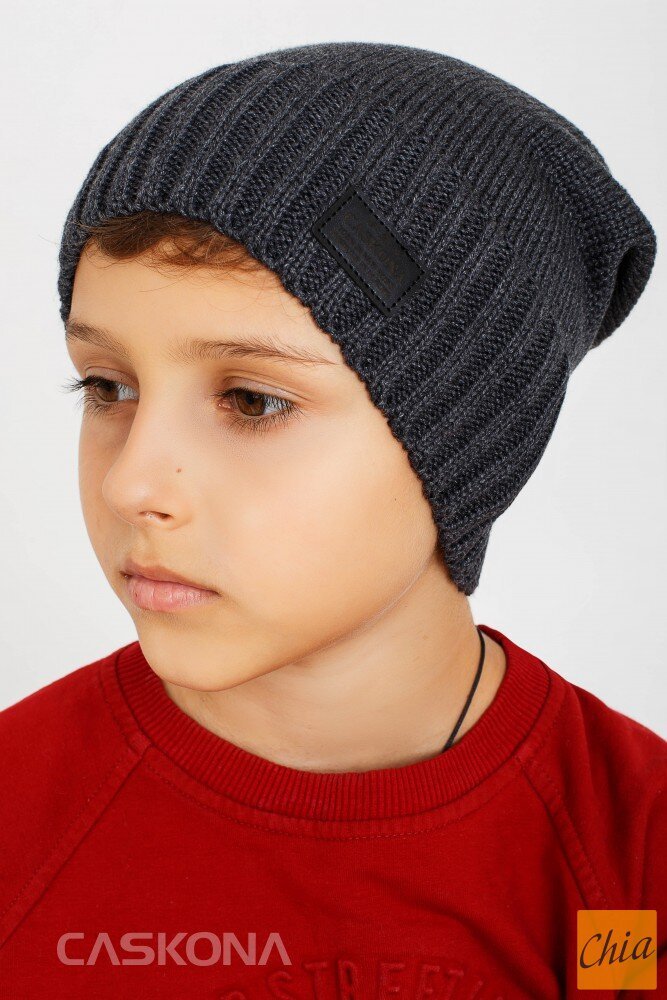 FABIAN UNI ШАПКА серый