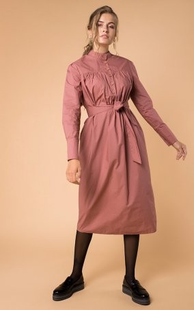 MR520: Винтажное платье с поясом MR 229 2245 0919 Tea Rose - фото 2