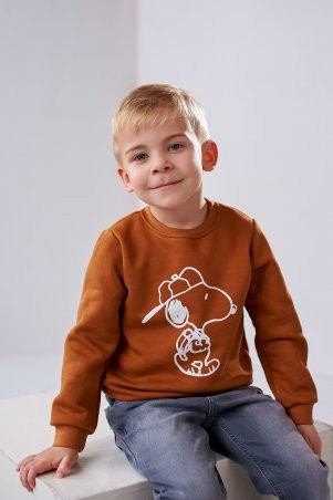 Stimma: Детский свитшот Арийн на мальчика 4-7 лет 4488 - фото 1