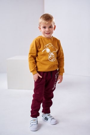 Stimma: Детский свитшот Арийн на мальчика 4-7 лет 4486 - фото 1