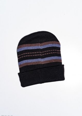 ISSA PLUS: Мужские шапки 7900_коричневый/голубой - фото 2