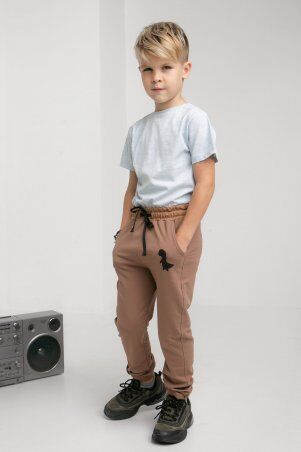 Детские спортивные штаны Брут