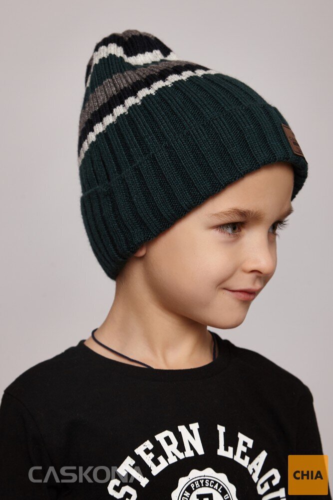 DALLAS CH FLIP UNI ШАПКА темно-зеленый/французский серый