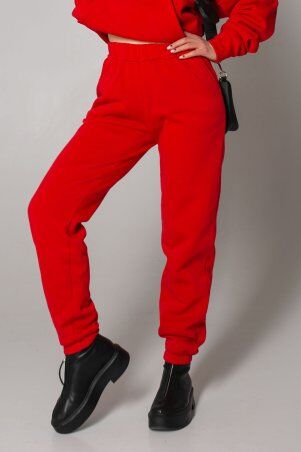 Jadone Fashion: Брюки Гербі червоний - фото 3