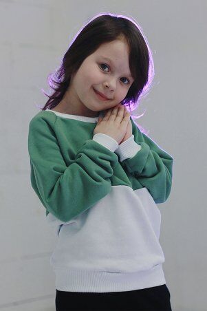 Garne: Світшот DANS-D2 3034701 - фото 1