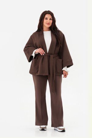 Garne: Штаны DESERT Коричневий 3043295 - фото 3