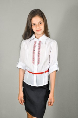 Leader Class Plus: Блуза Классика-вышиванка 1619 - фото 1